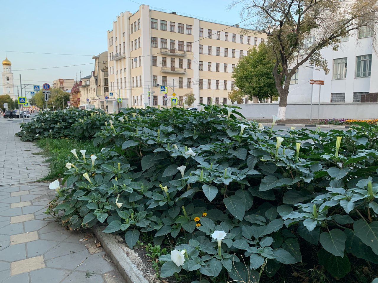 В Сергиевском районе благоустроят 10 дворов в 2022 году
