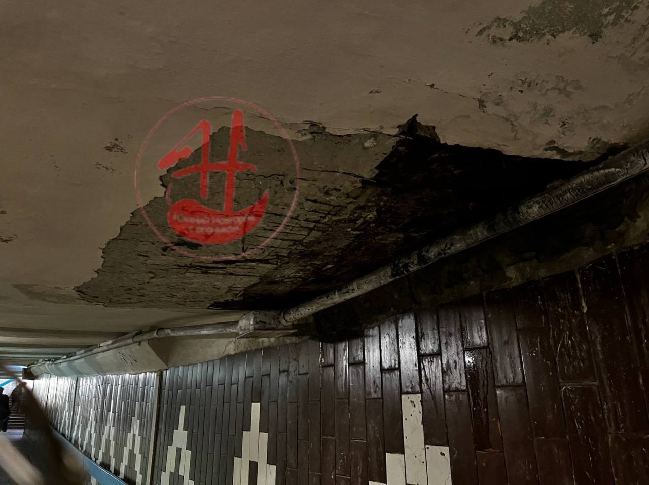 Нижегородцы пожаловались на плесень в подземном переходе на Бурнаковской - фото 1