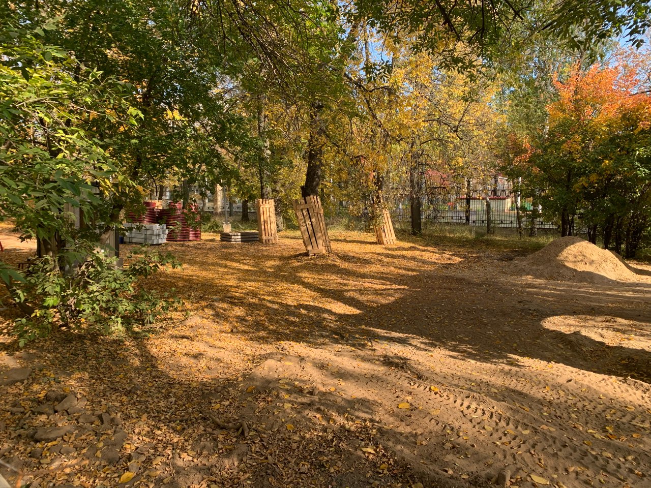 Треть планируемых деревьев высадили в нижегородской «Швейцарии» - фото 1