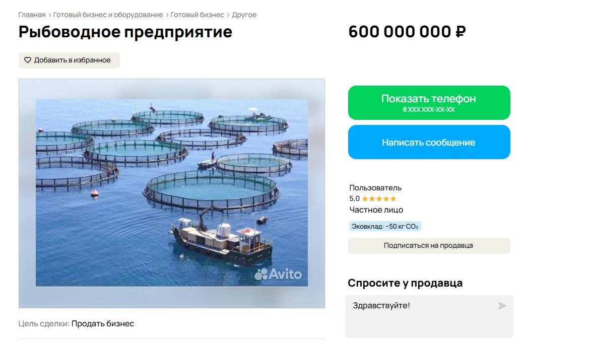 Тысяча га: донской рыбокомплекс продают за 600 млн рублей - фото 1