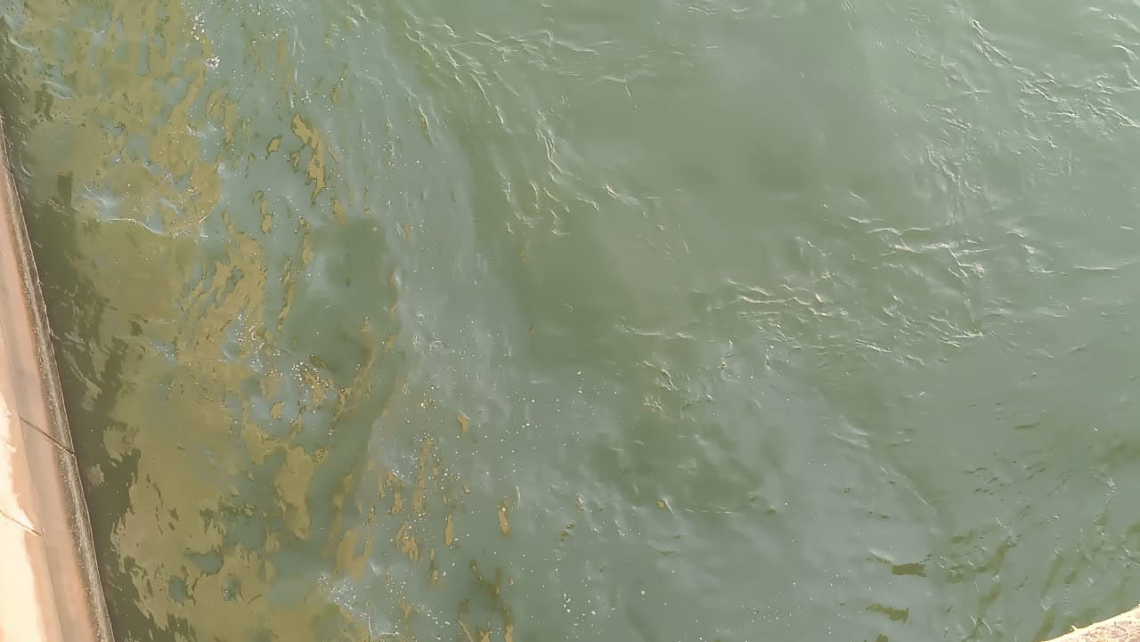 В Ростовской области зафиксировали факт сброса нефтепродуктов в реку Дон - фото 1